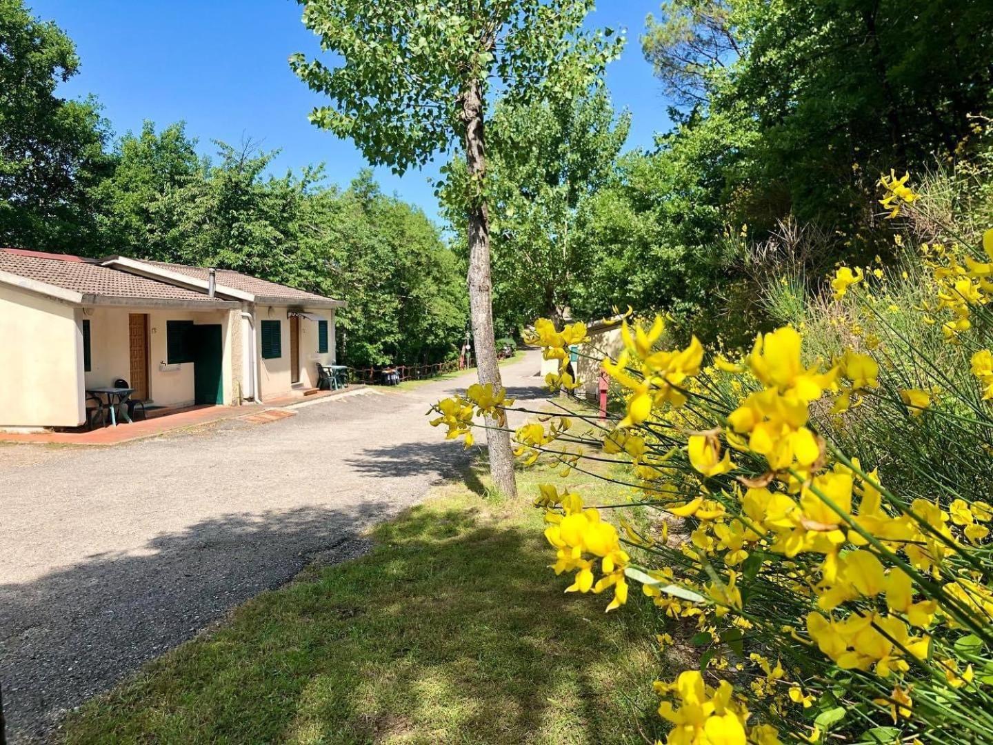 Camping Village Mugello Verde サン・ピエーロ・ア・シエーヴェ エクステリア 写真
