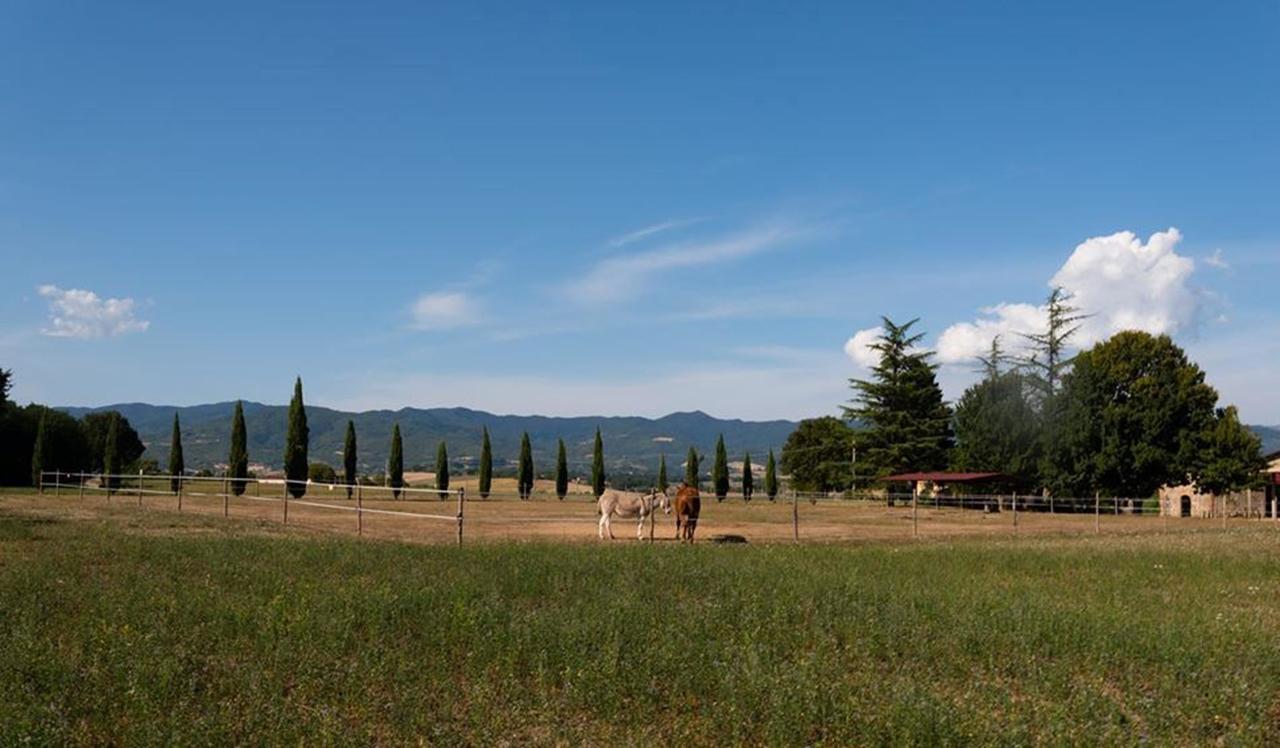 Camping Village Mugello Verde サン・ピエーロ・ア・シエーヴェ 部屋 写真